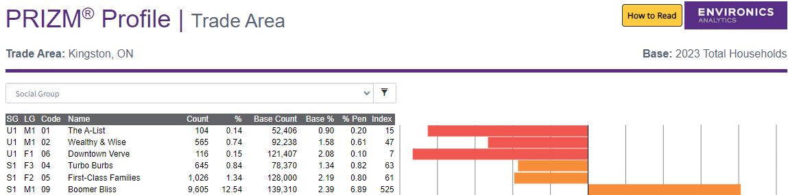 Example of a PRIZM profile report