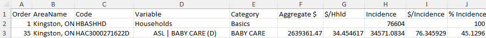 Screenshot of report in Excel