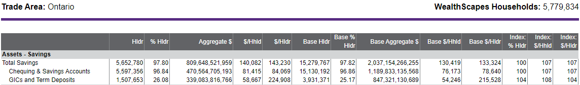Screenshot of WealthScapes report in ENVISION