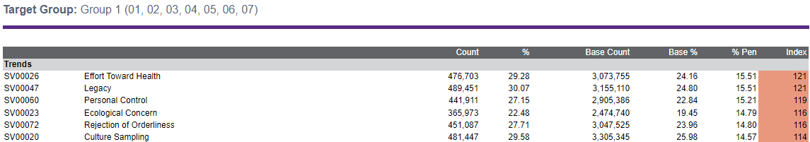 Screenshot of SocialValues report in ENVISION