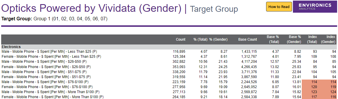 Screenshot of report in ENVISION