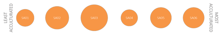 Visualization of South Asian Acculturates described above ranked from least to most acculturated