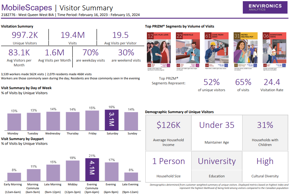 Screenshot of a MobileScapes Summary report in ENVISION
