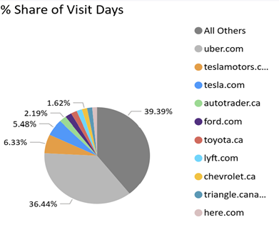 Screenshot of Pie Chart with % Share of Visit Days.
