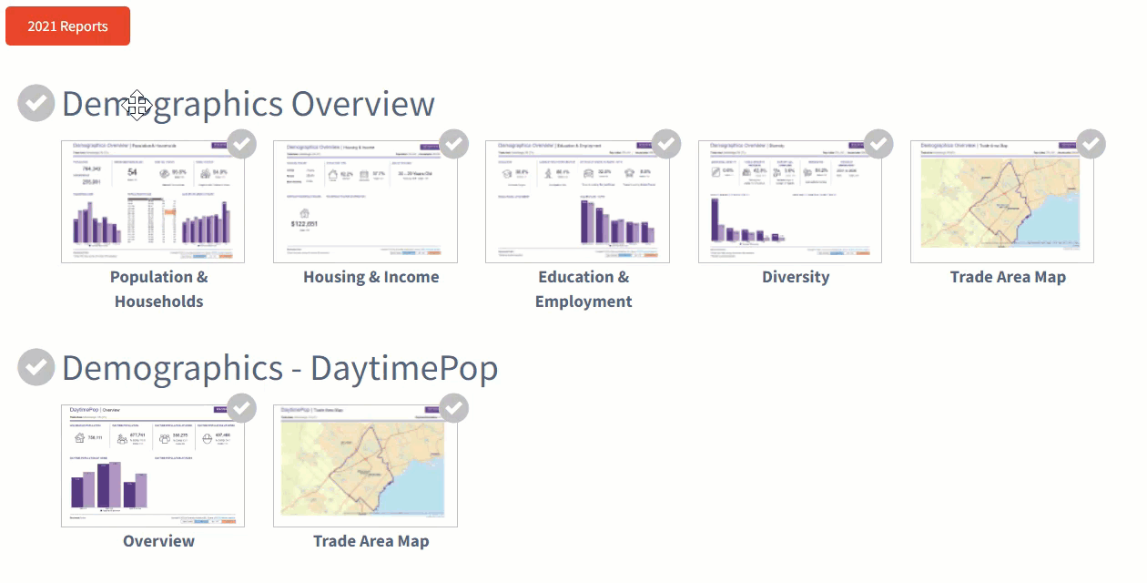 Customizing the Reporting Page in SPOTLIGHT Environics Analytics